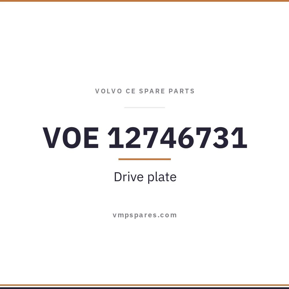 VOE 12746731 – Drive plate