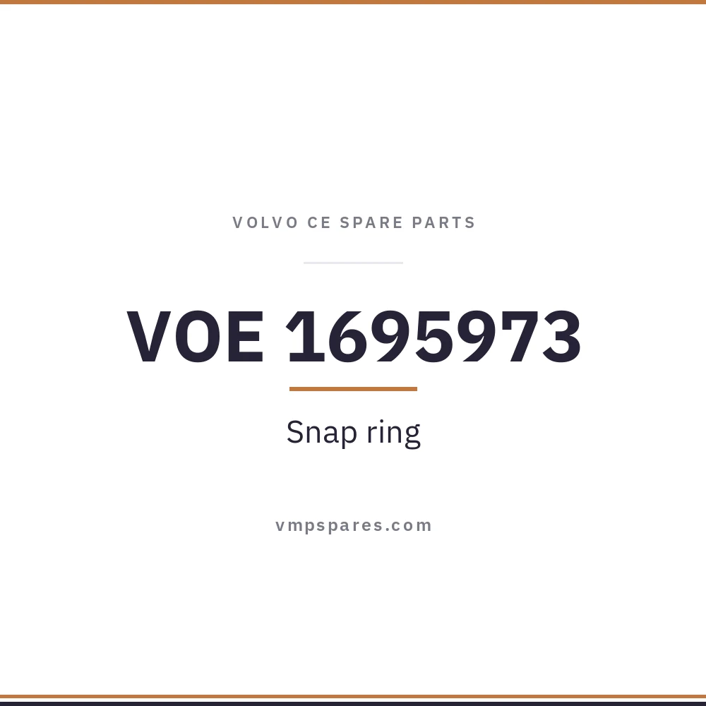 VOE 1695973 – Snap ring