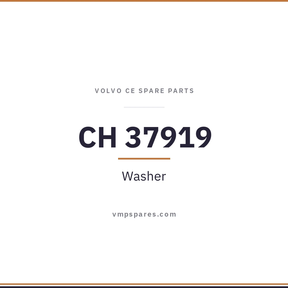 CH 37919 – Washer