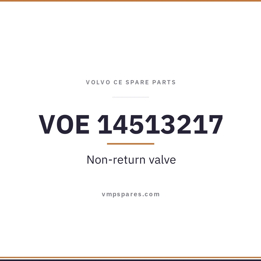 VOE 14513217 – Non-return valve