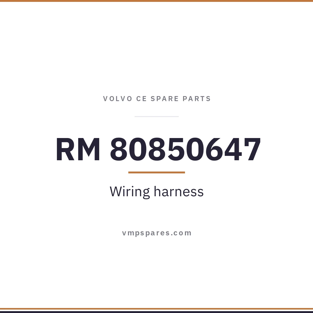 RM 80850647 – Wiring harness