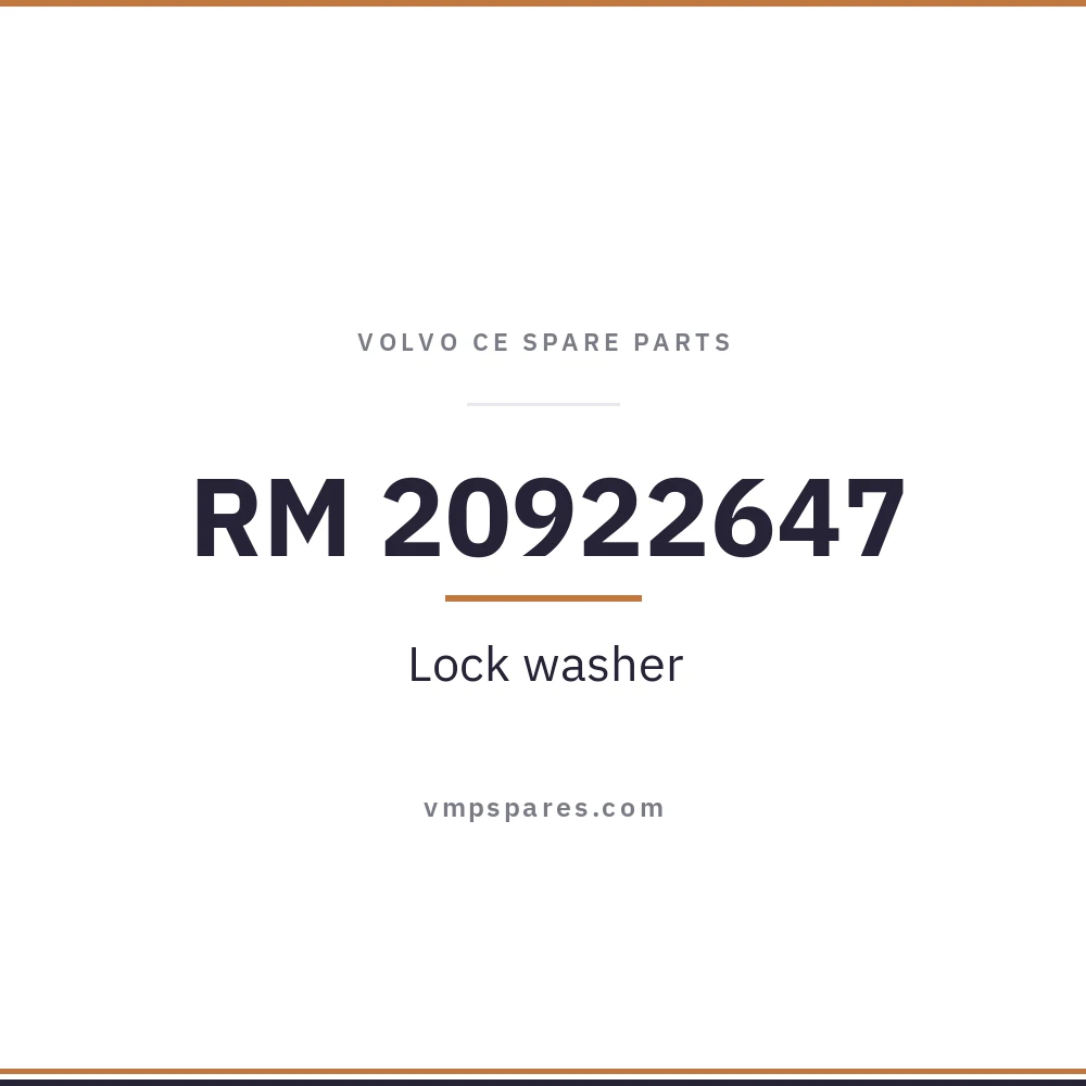 RM 20922647 – Lock washer