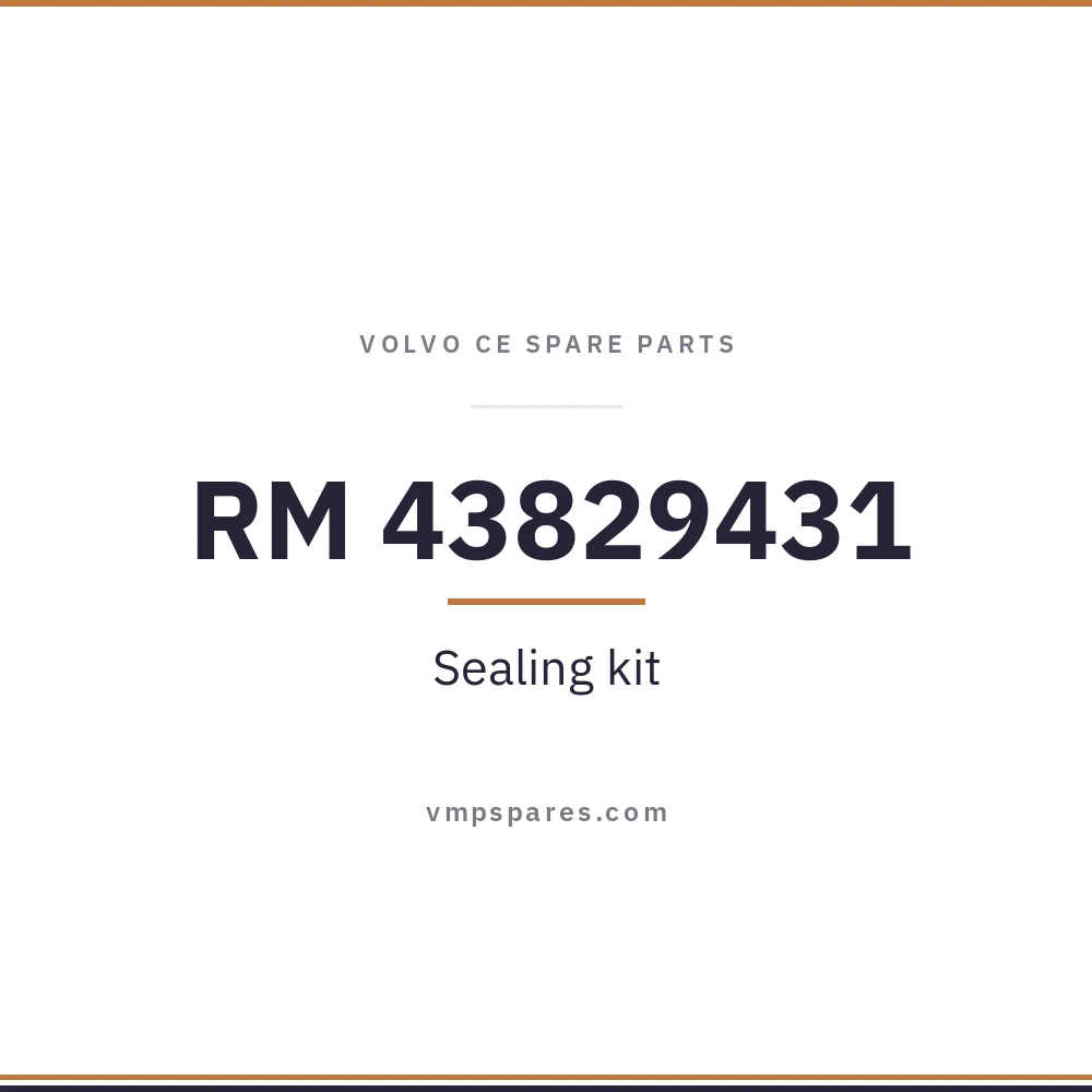 RM 43829431 – Sealing kit