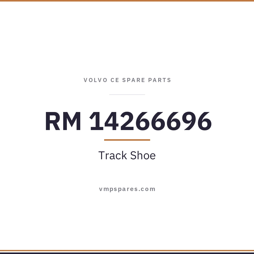 RM 14266696 – Track Shoe