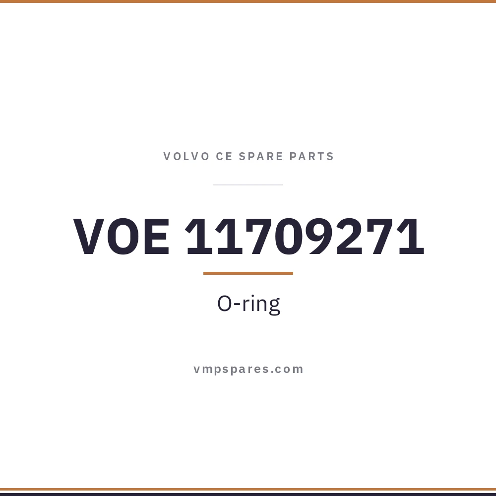 VOE 11709271 – O-ring