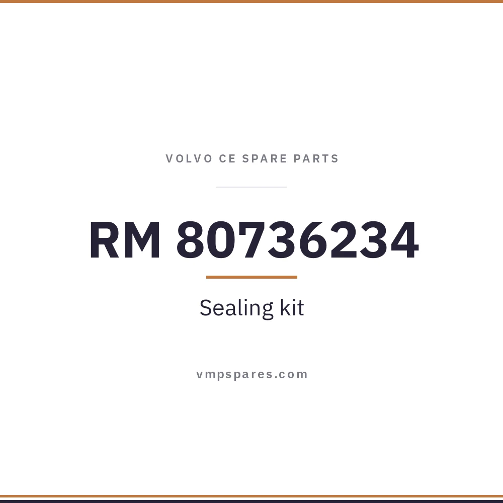 RM 80736234 – Sealing kit