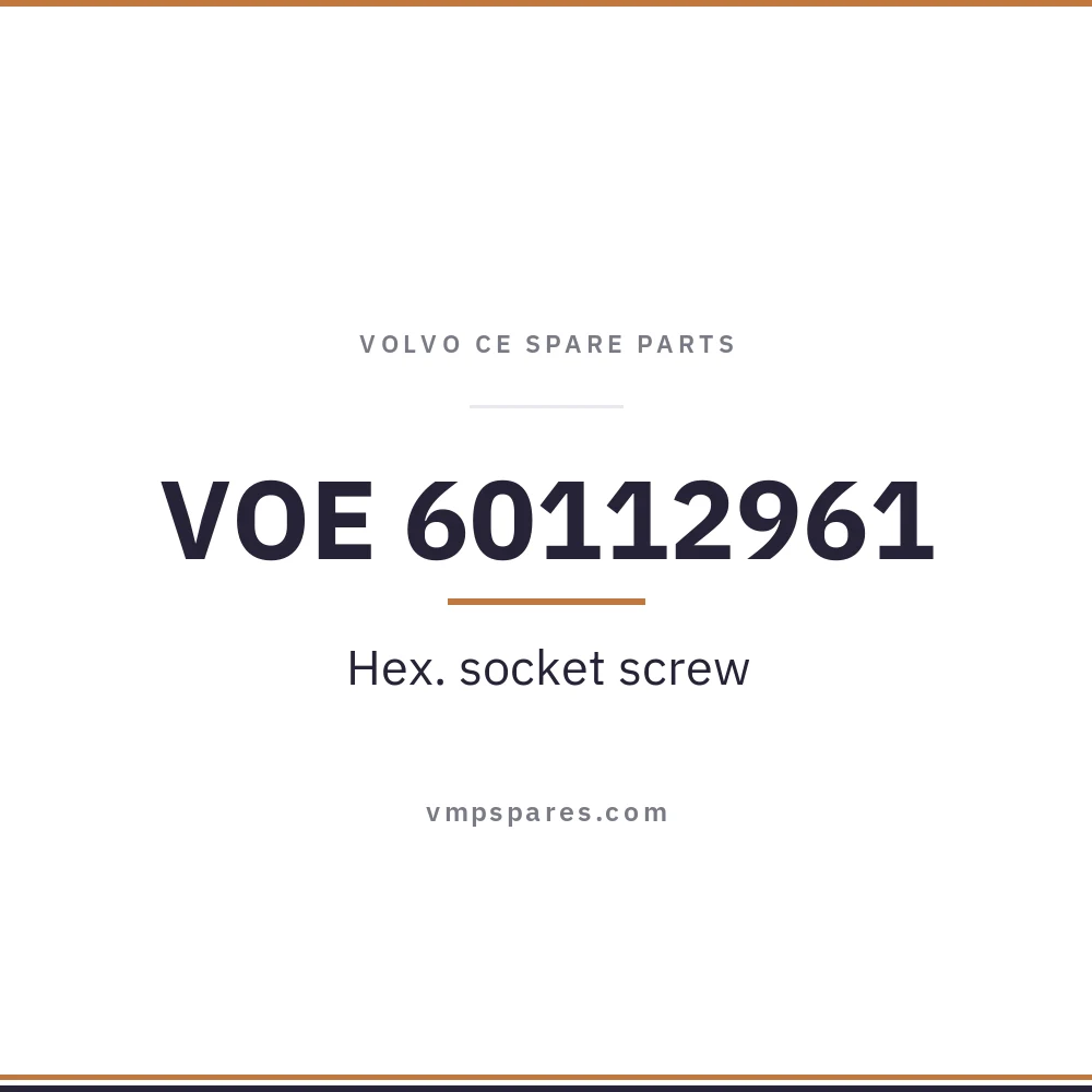 VOE 60112961 – Hex. socket screw