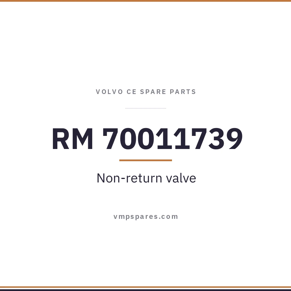 RM 70011739 – Non-return valve