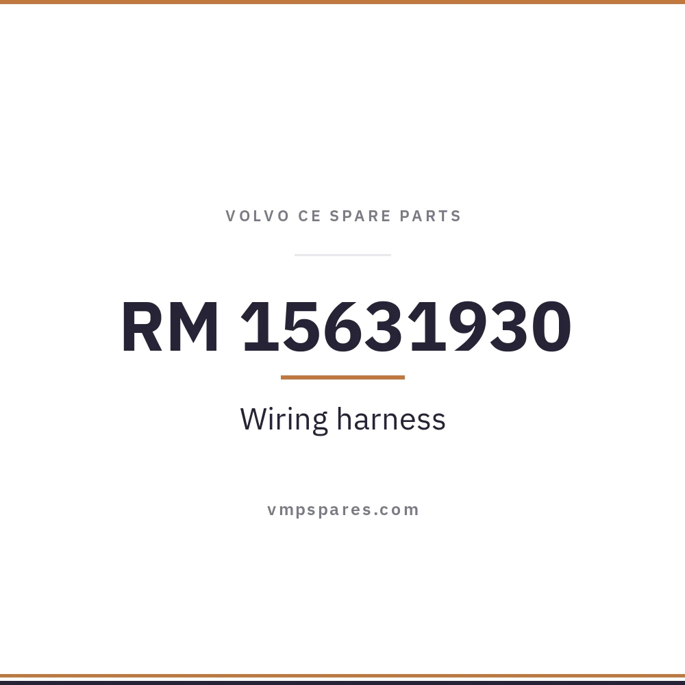 RM 15631930 – Wiring harness