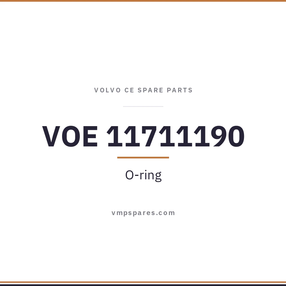 VOE 11711190 – O-ring