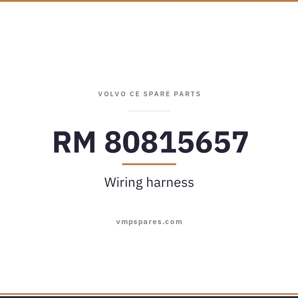 RM 80815657 – Wiring harness