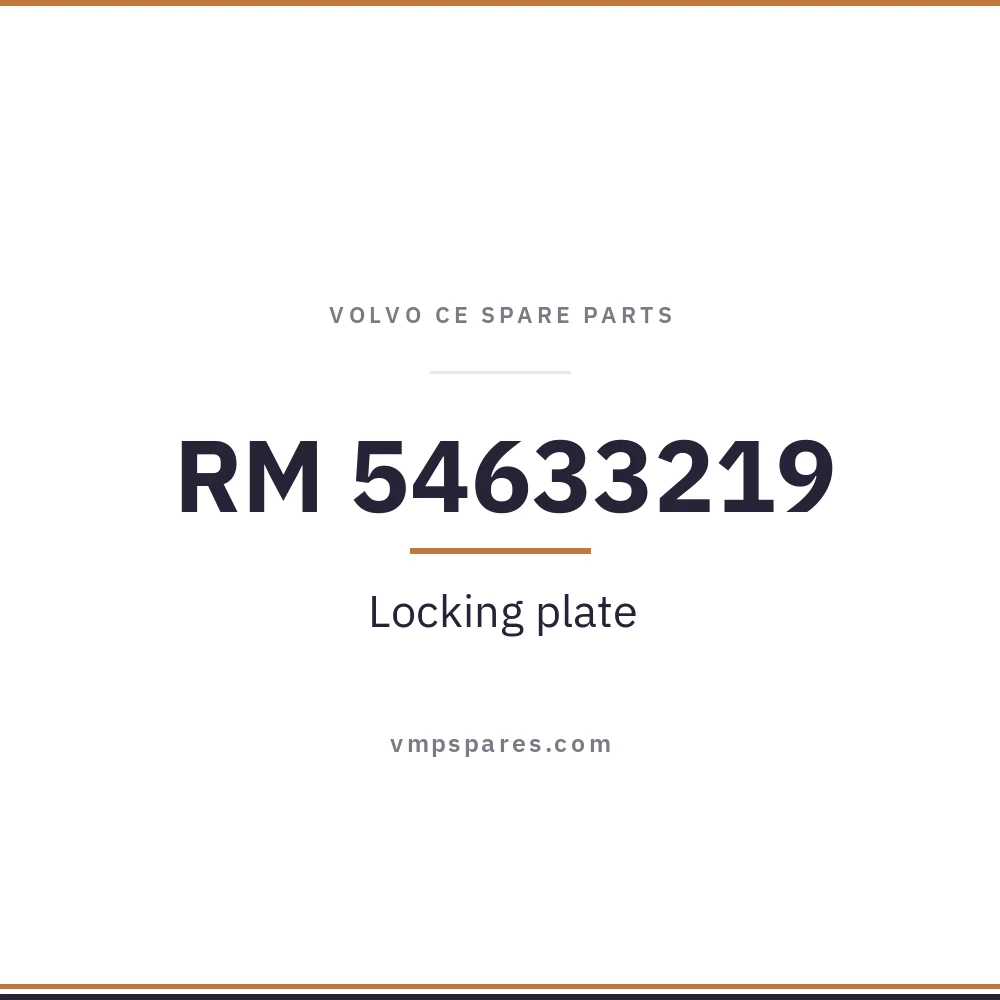 RM 54633219 – Locking plate