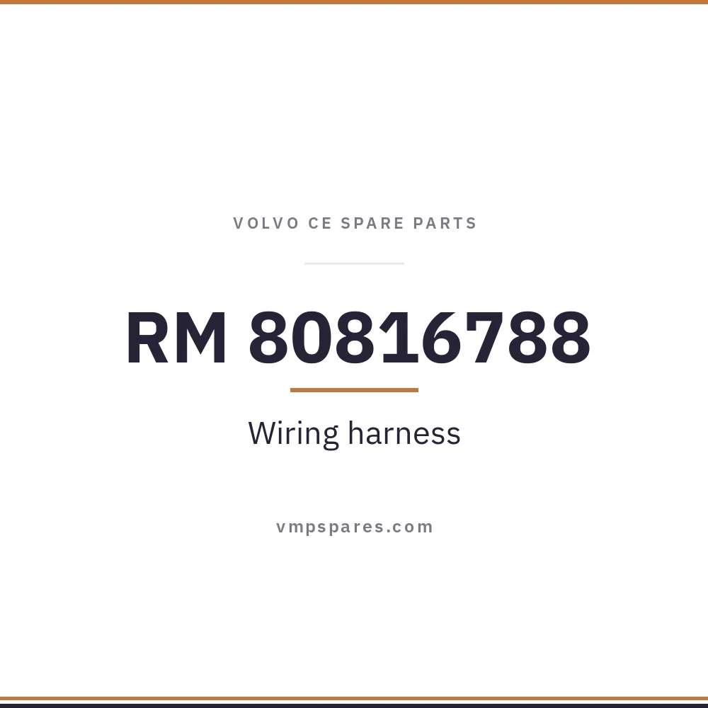 RM 80816788 – Wiring harness