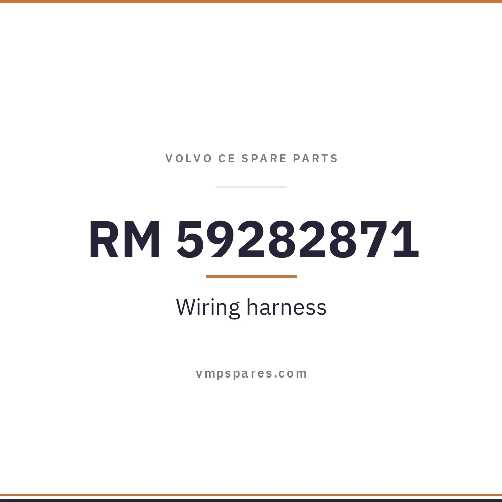 RM 59282871 – Wiring harness