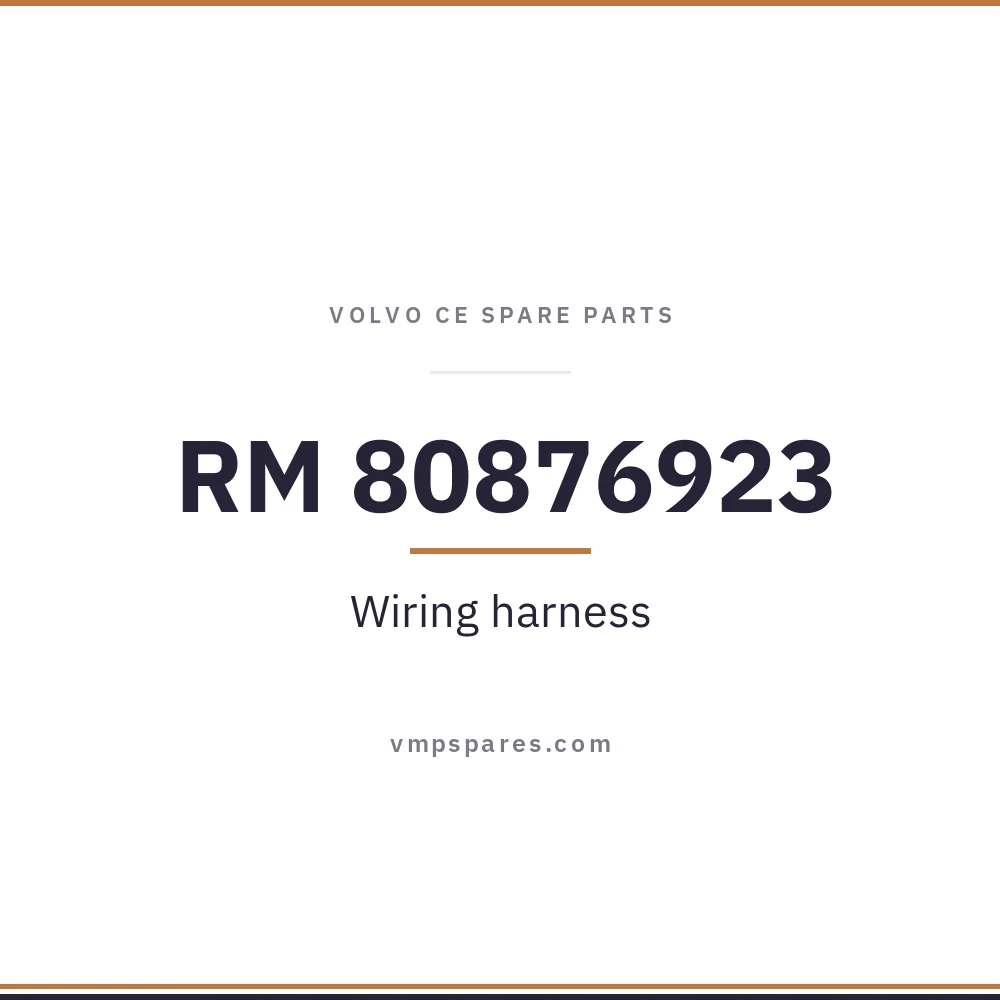 RM 80876923 – Wiring harness