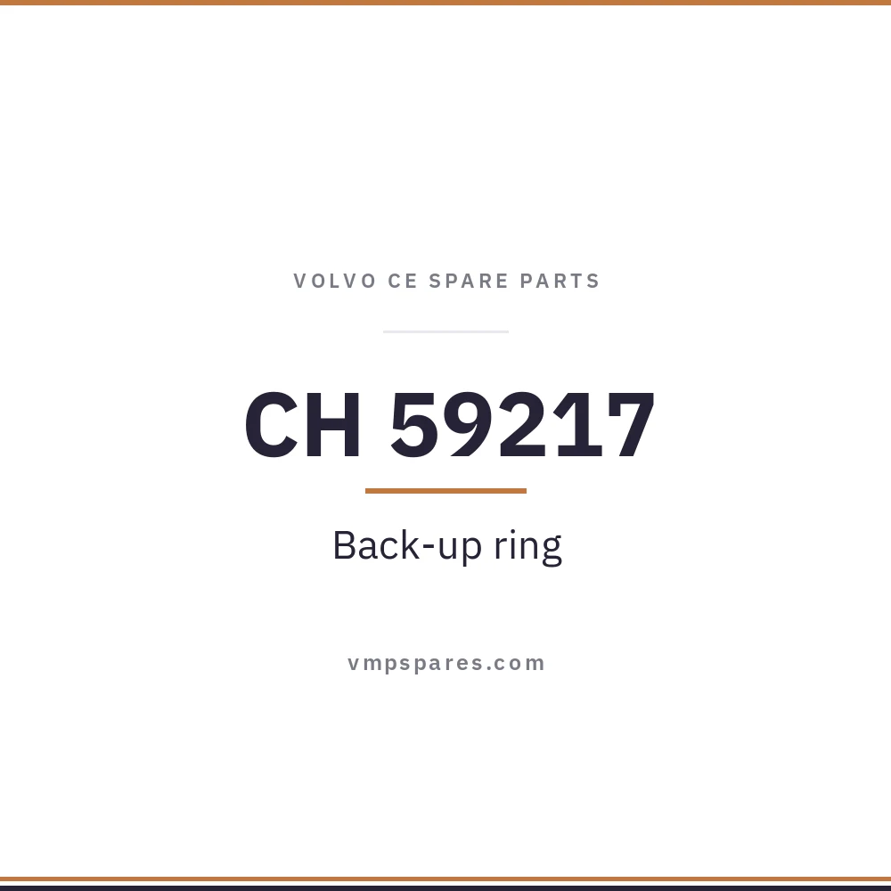 CH 59217 – Back-up ring