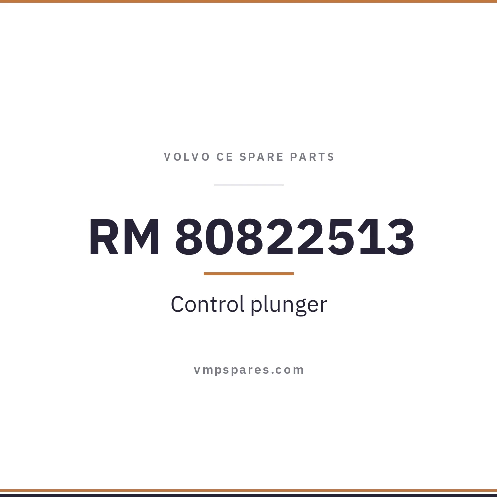 RM 80822513 – Control plunger