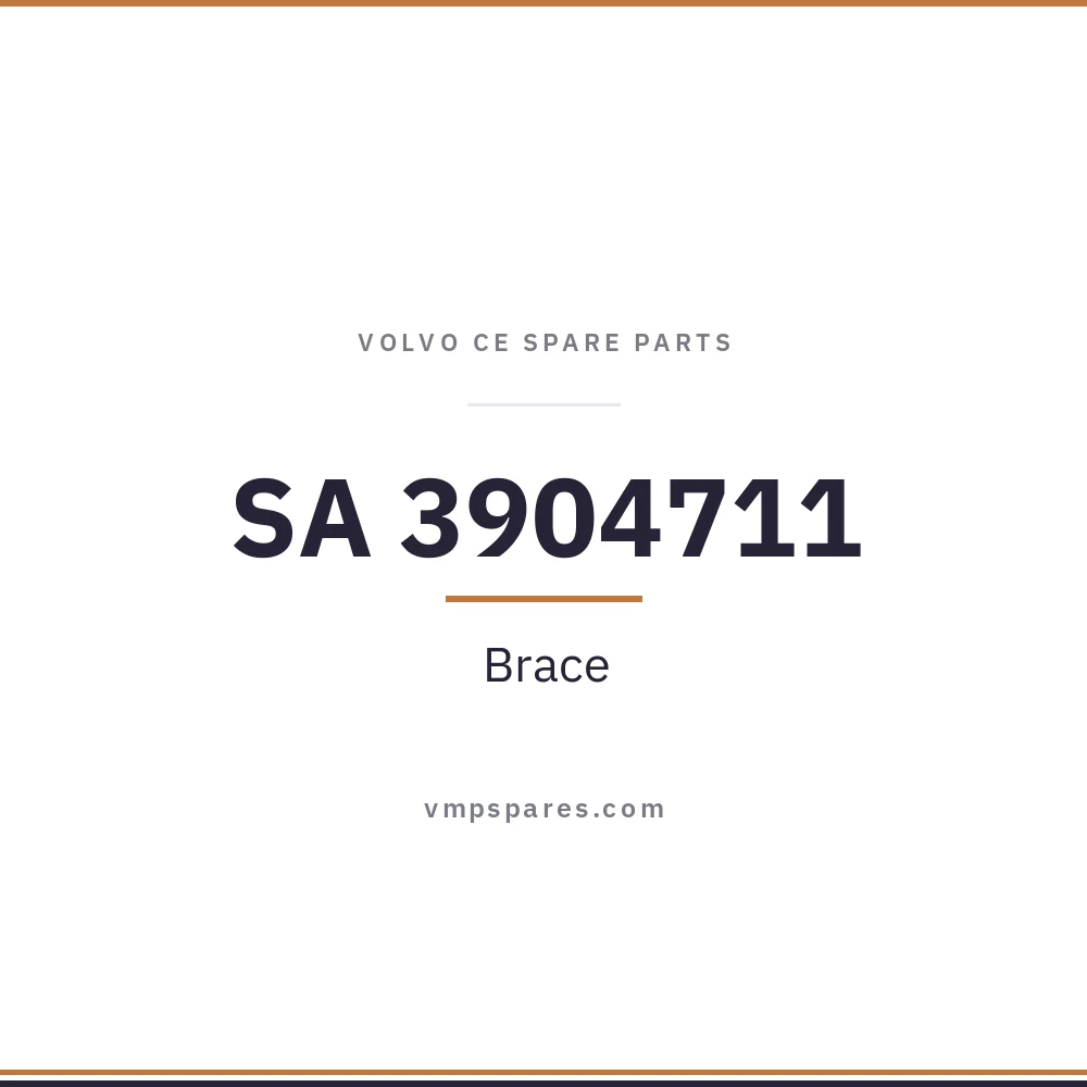 SA 3904711 – Brace
