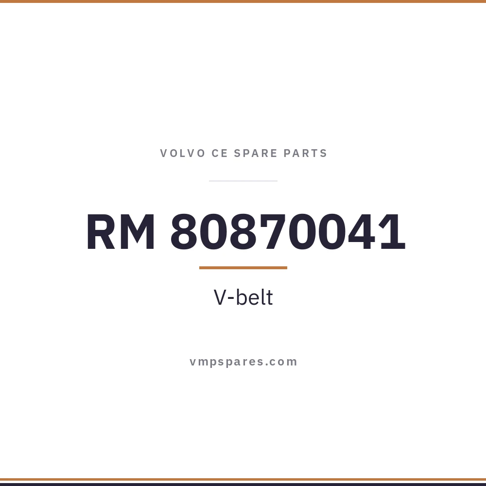 RM 80870041 – V-belt