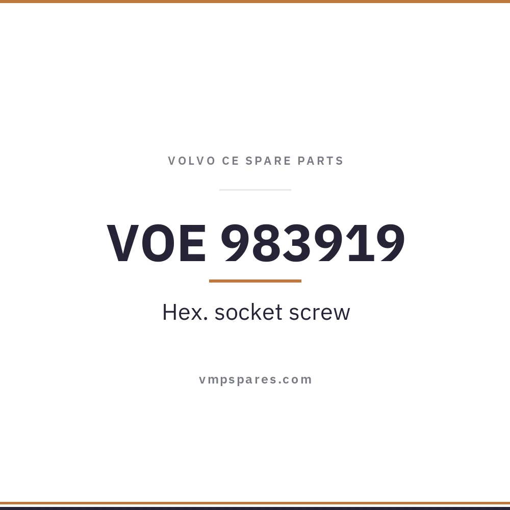 VOE 983919 – Hex. socket screw