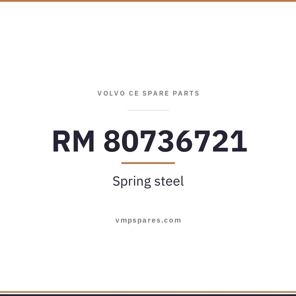 RM 80736721 – Spring steel