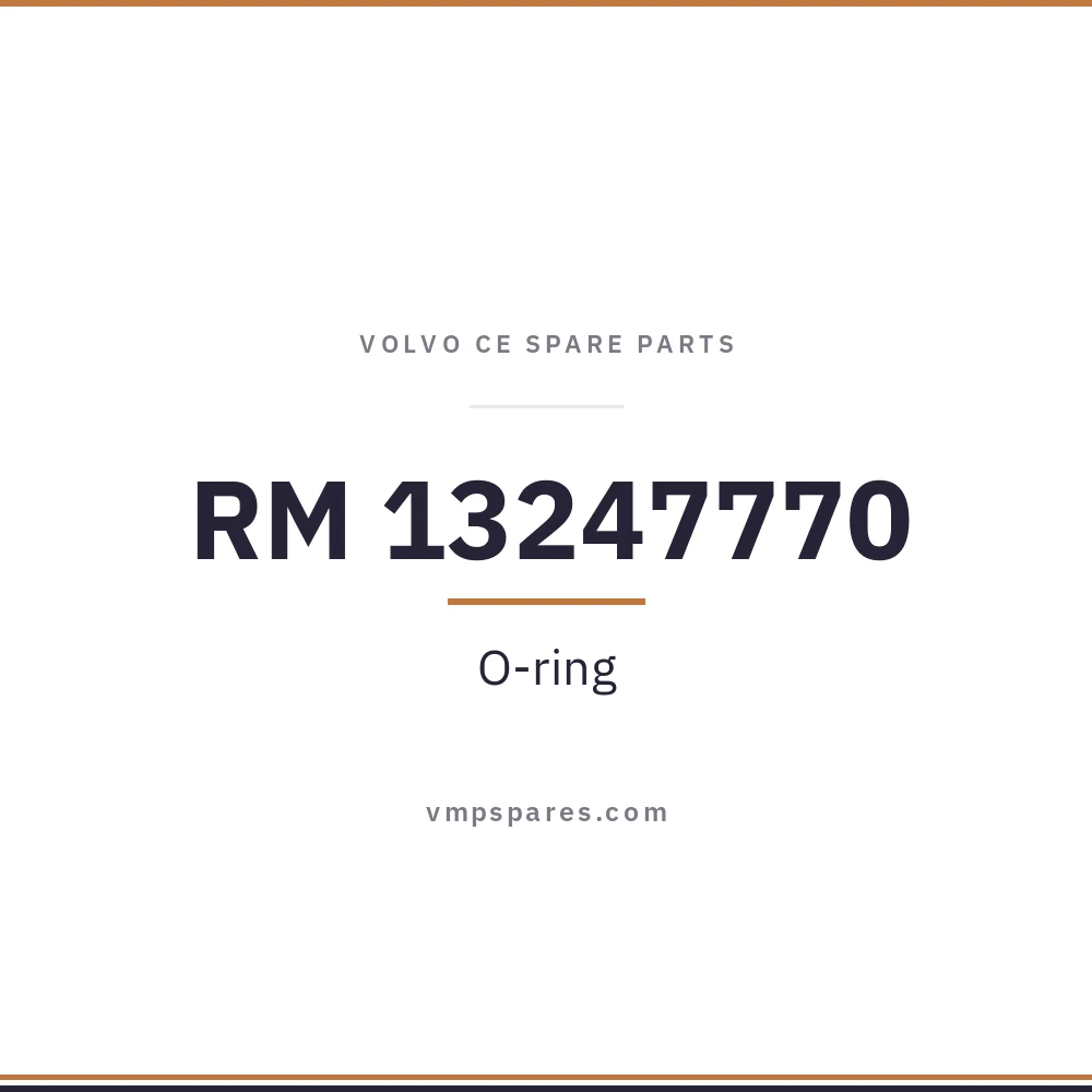 RM 13247770 – O-ring