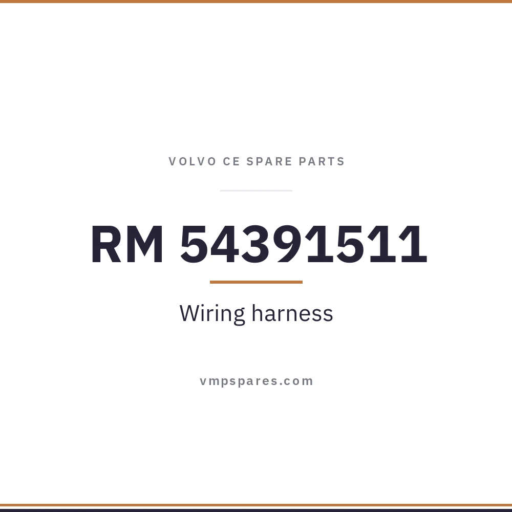 RM 54391511 – Wiring harness