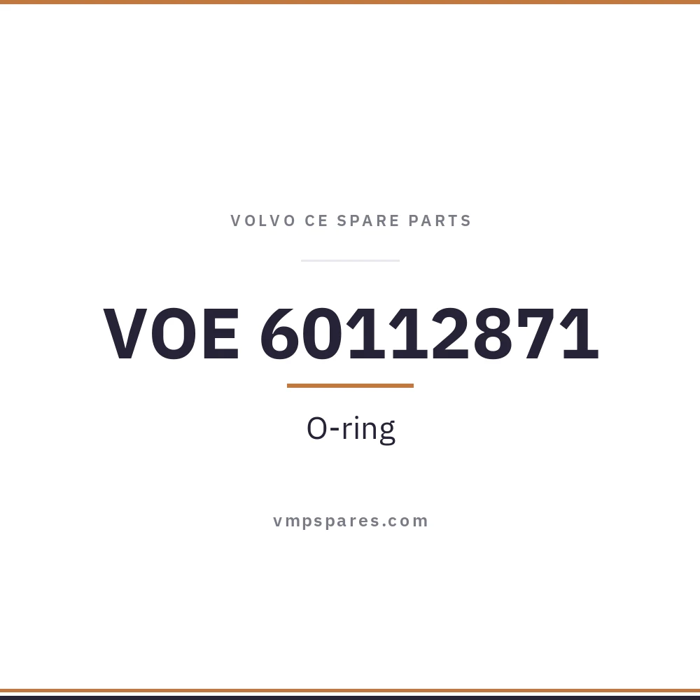 VOE 60112871 – O-ring