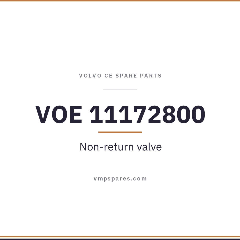 VOE 11172800 – Non-return valve