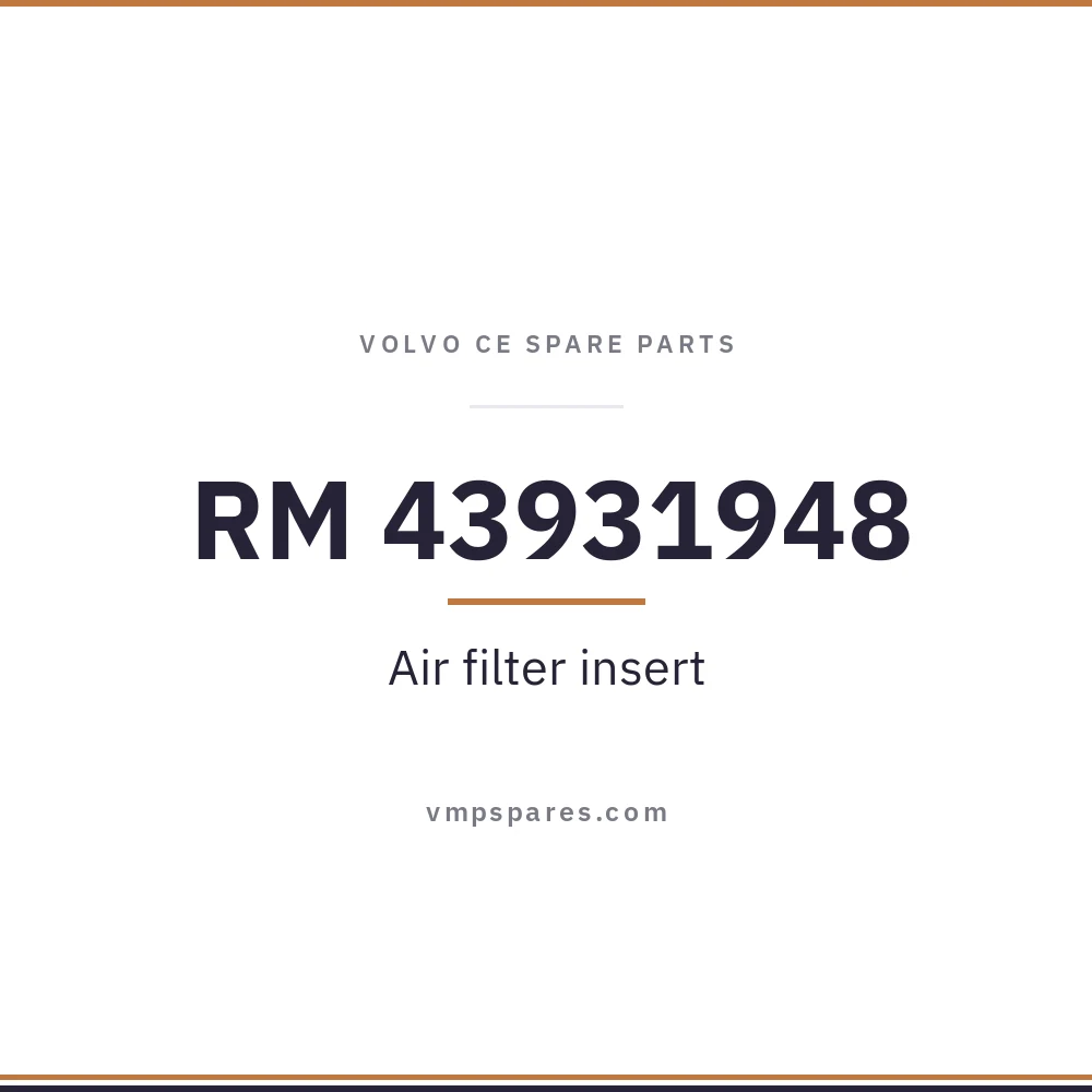 RM 43931948 – Air filter insert