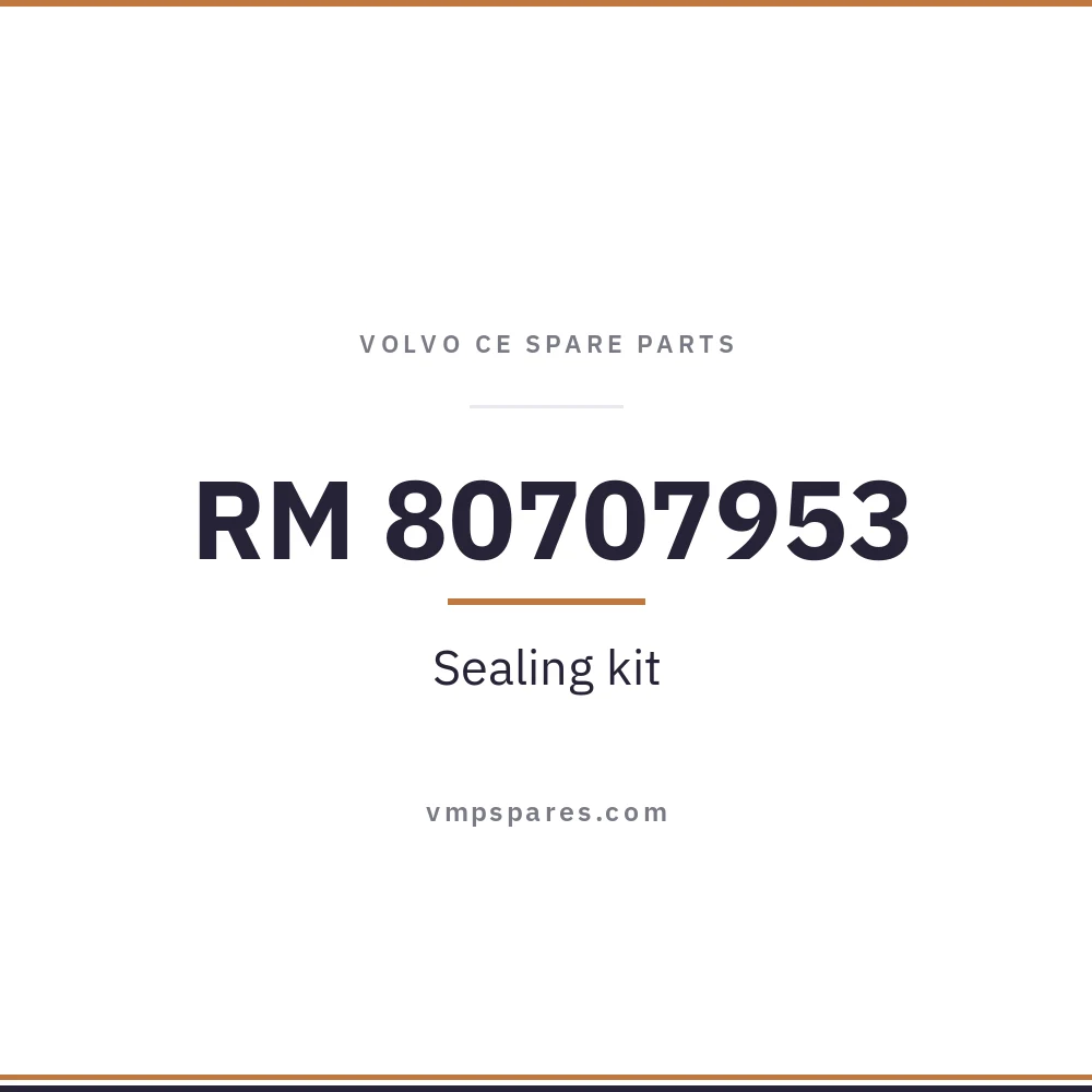 RM 80707953 – Sealing kit