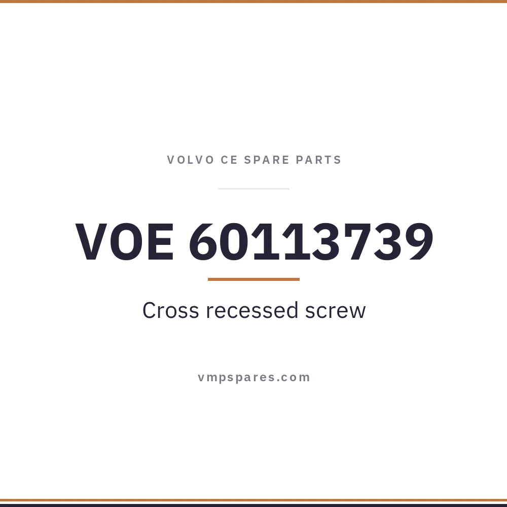 VOE 60113739 – Cross recessed screw
