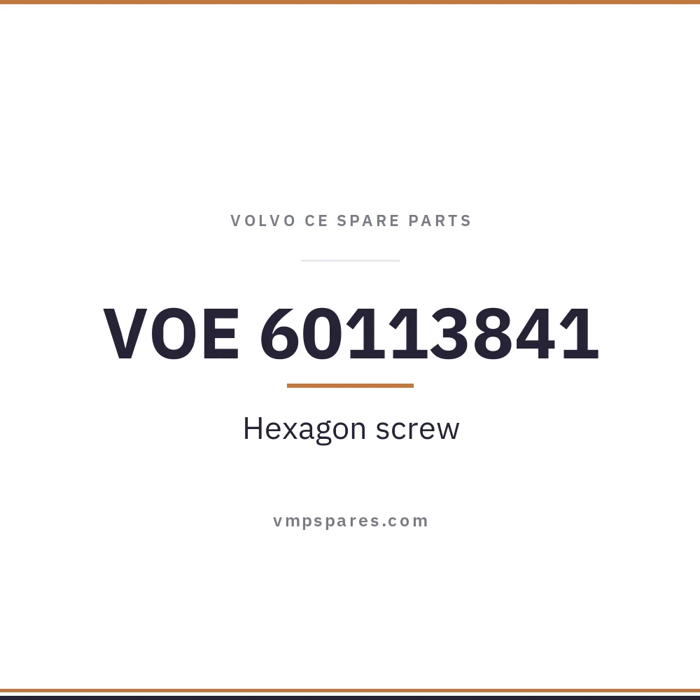 VOE 60113841 – Hexagon screw
