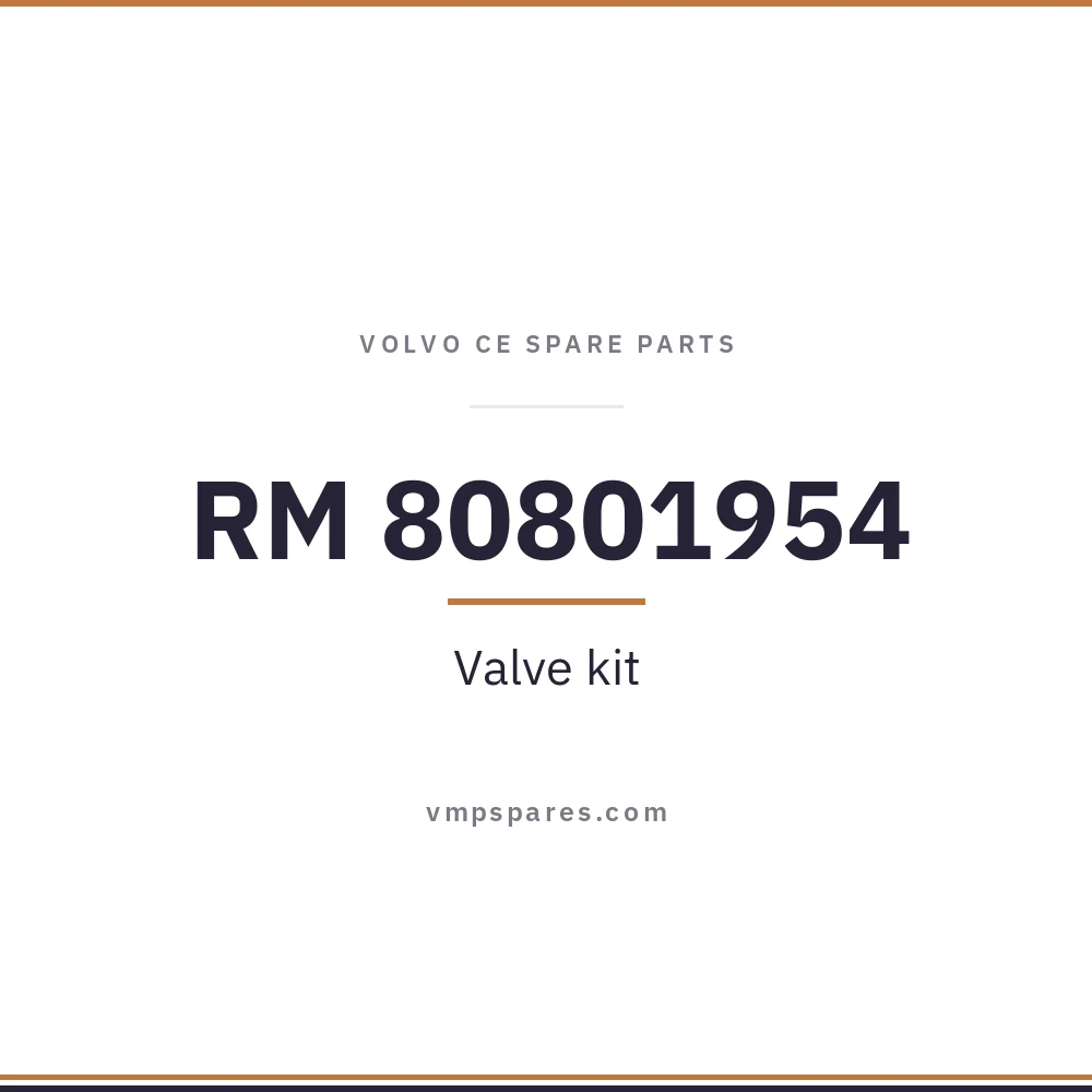RM 80801954 – Valve kit