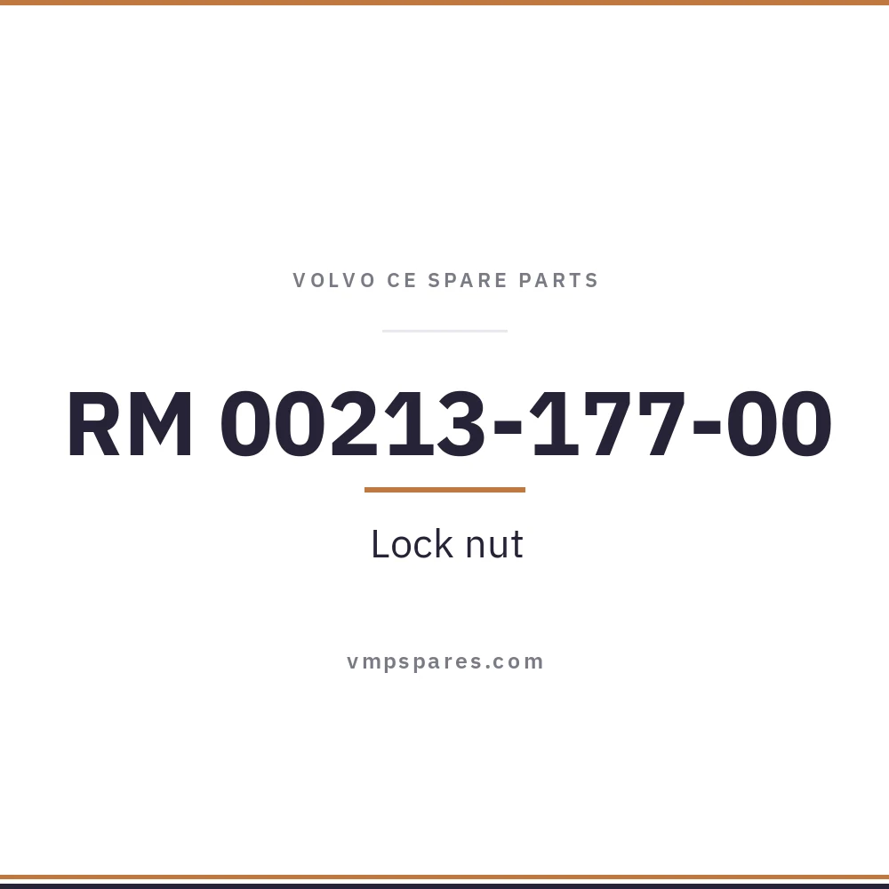 RM 00213-177-00 – Lock nut