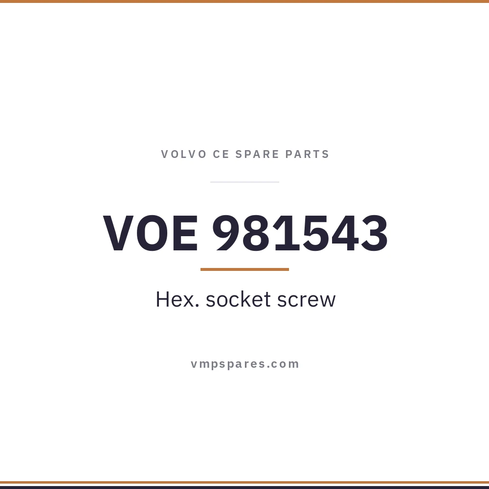VOE 981543 – Hex. socket screw