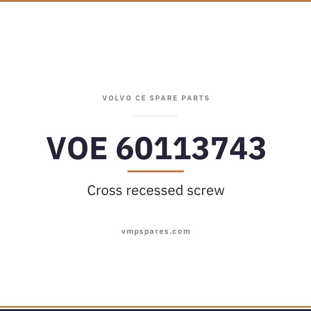 VOE 60113743 – Cross recessed screw
