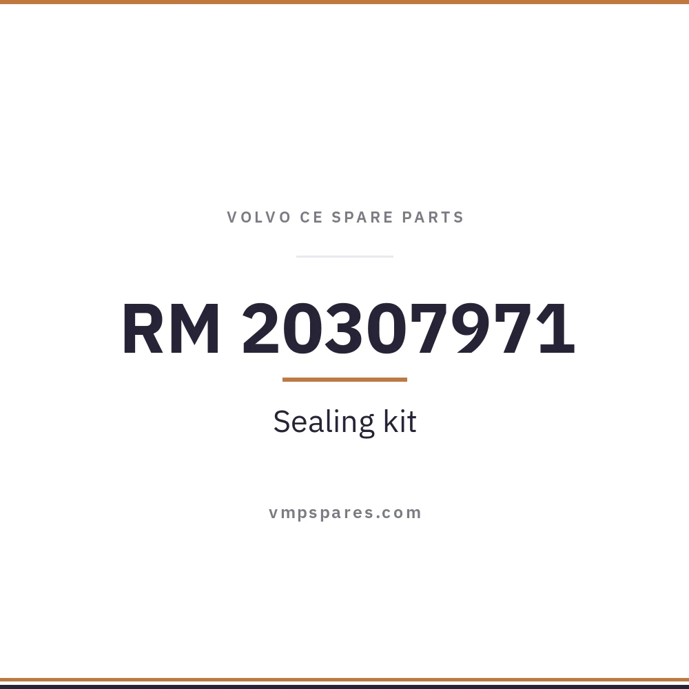 RM 20307971 – Sealing kit