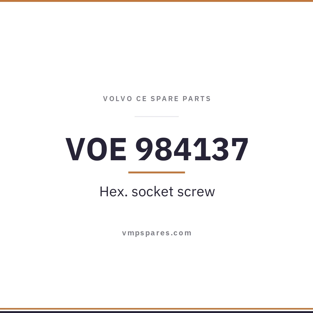VOE 984137 – Hex. socket screw