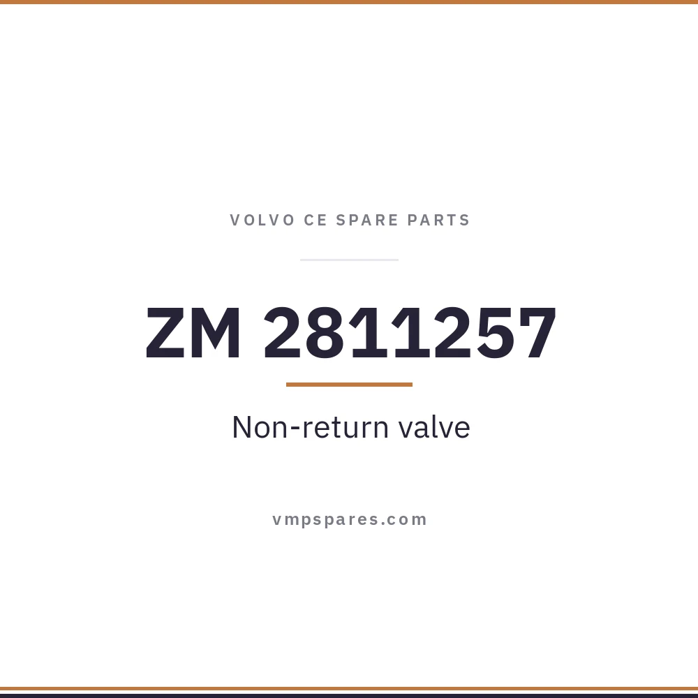 ZM 2811257 – Non-return valve