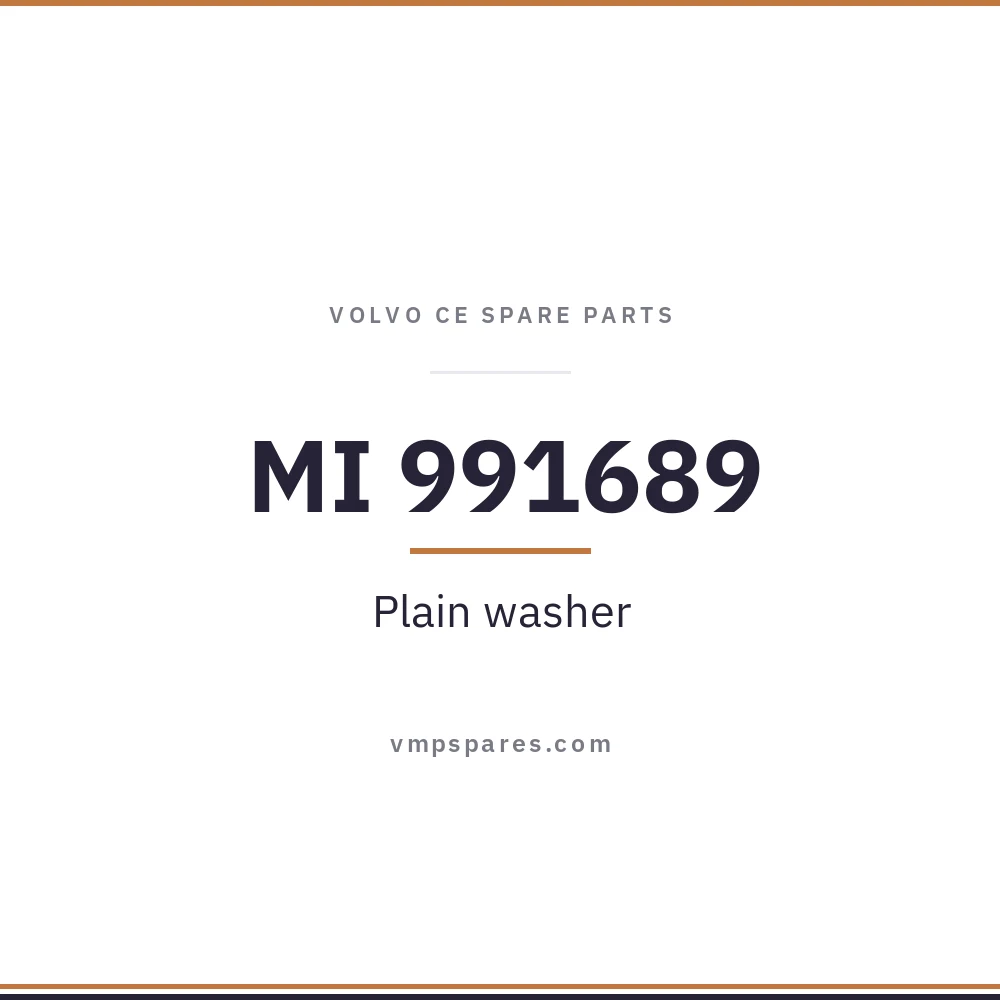 MI 991689 – Plain washer