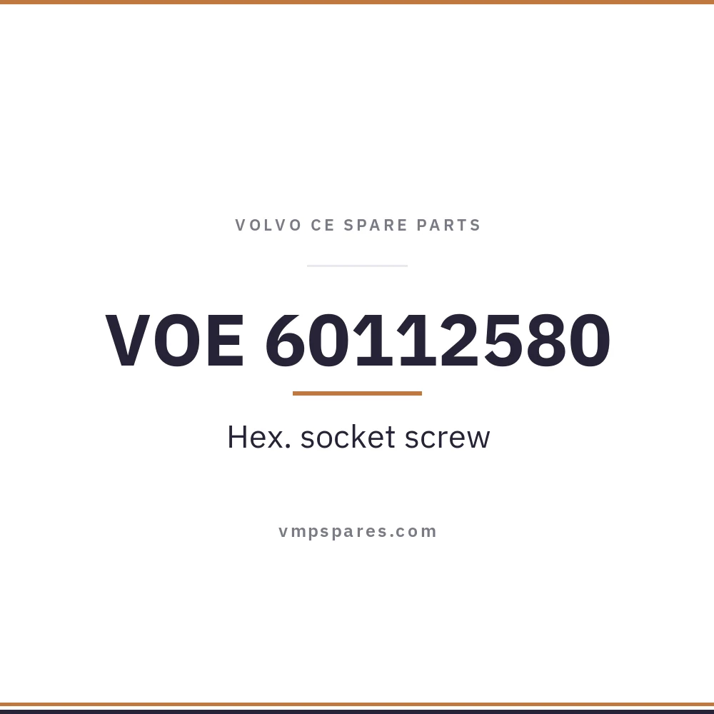 VOE 60112580 – Hex. socket screw