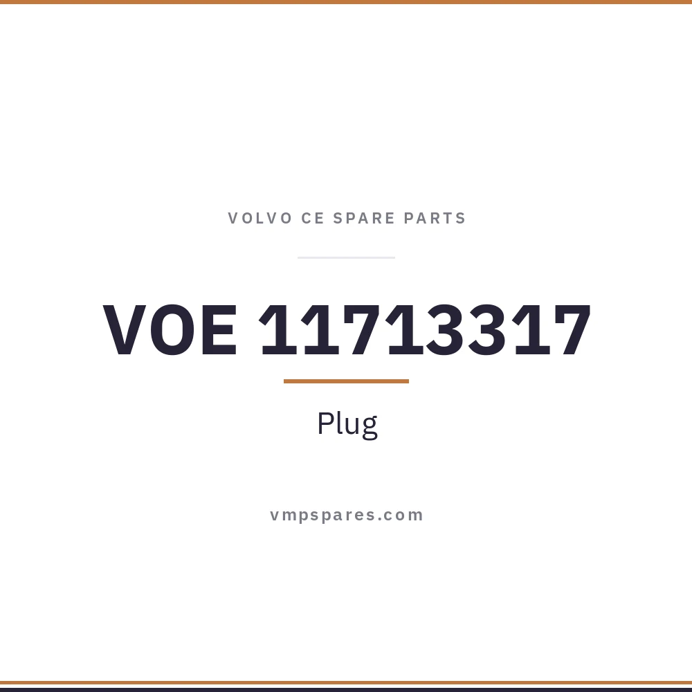 VOE 11713317 – Plug