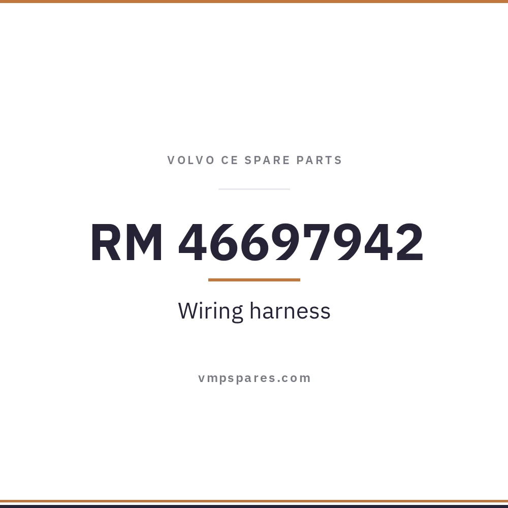 RM 46697942 – Wiring harness
