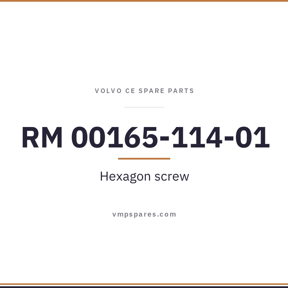 RM 00165-114-01 – Hexagon screw