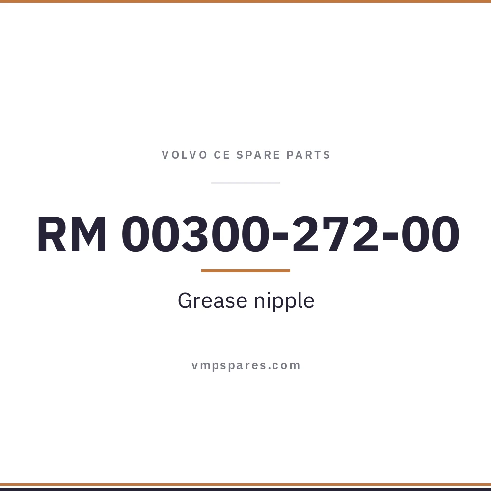 RM 00300-272-00 – Grease nipple