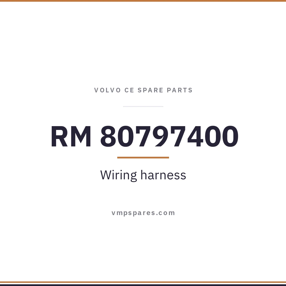RM 80797400 – Wiring harness