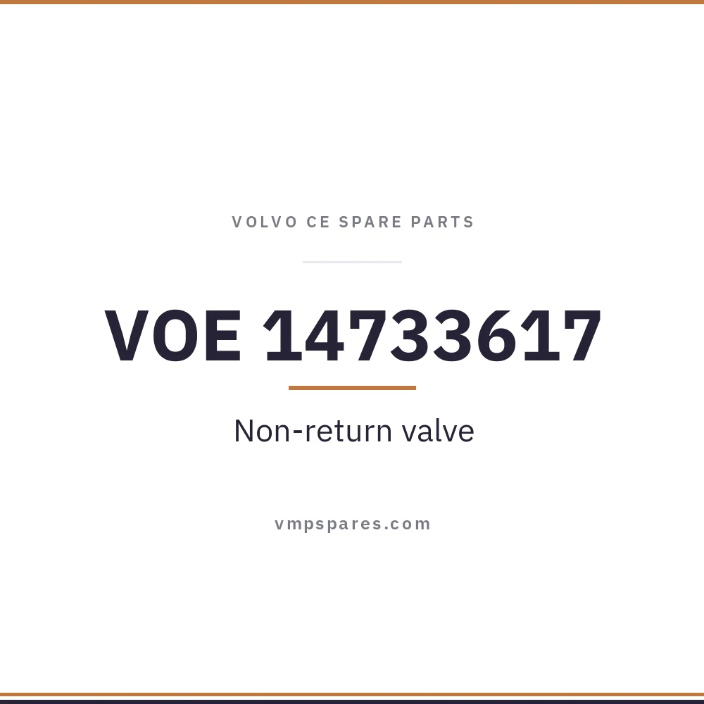 VOE 14733617 – Non-return valve