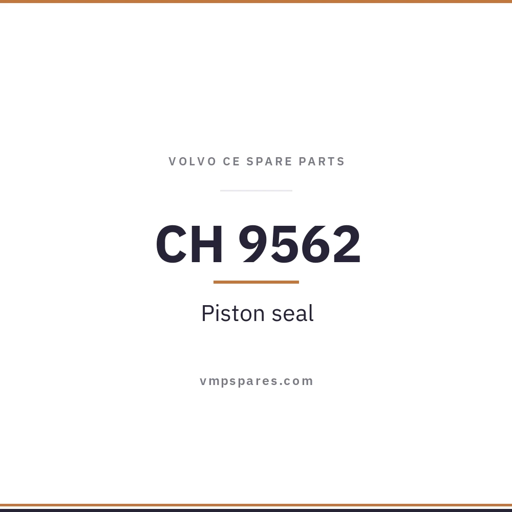 CH 9562 – Piston seal