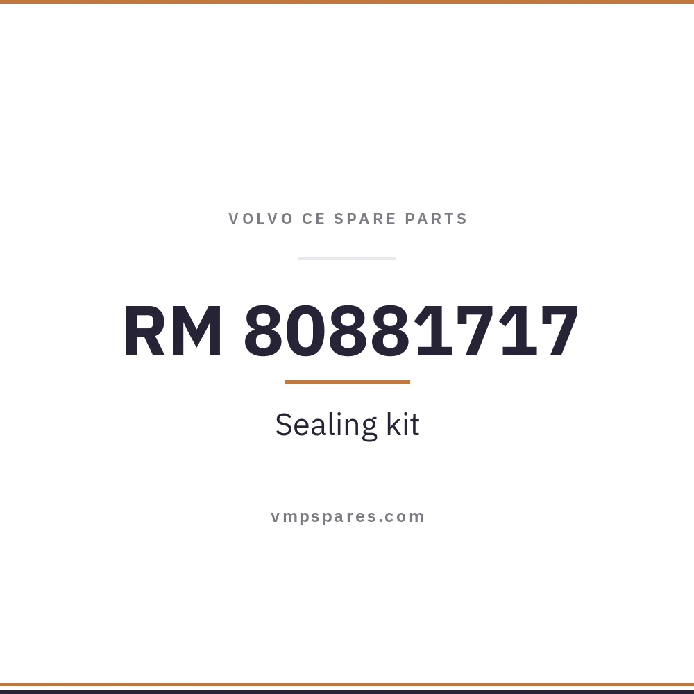 RM 80881717 – Sealing kit